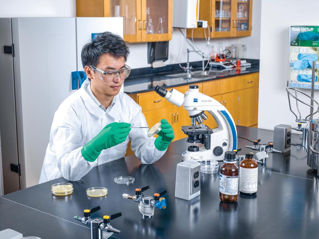 Mănuși de unică folosință din cauciuc din neopren rezistente la substanțe chimice Ansell Microflex XL Mărimea 93-260 (50 de bucăți) 93-260-10