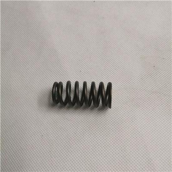Foton Valve Spring for SPV10001614E9300