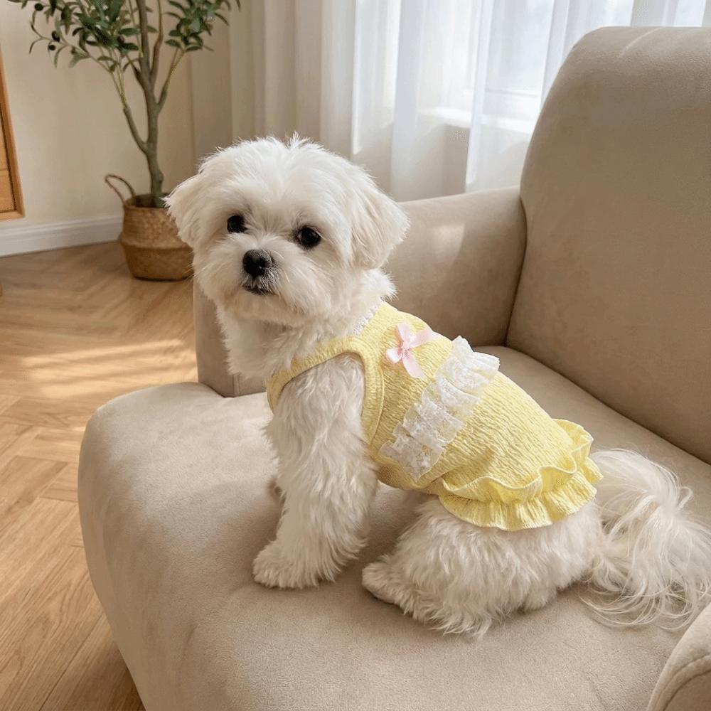 Fashion Breathable Pet Tank Top Floral Lace Princess Style Dog Vest Lightweight Sleeveless Puppy Sling Skirt Outdoor Walk