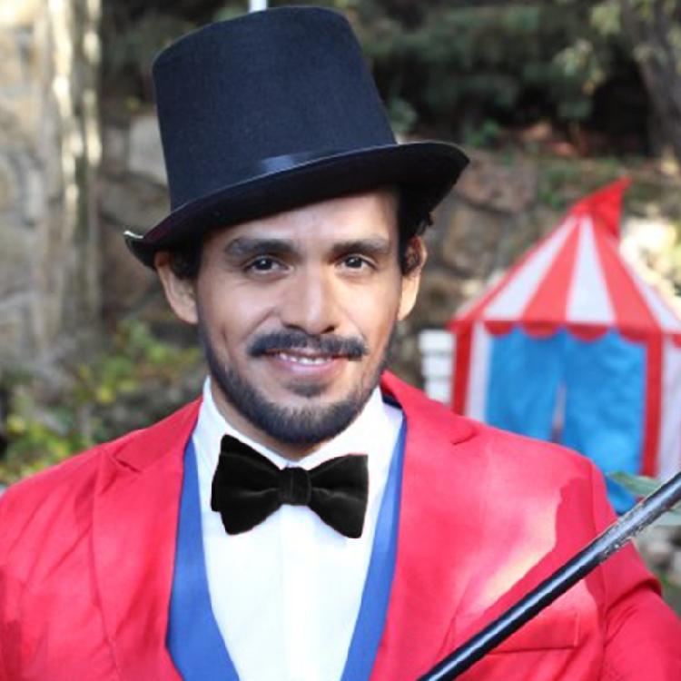 Lincolns Birthday Patriotic Costume Halloween Abrahams Lincolns Costume Accessories Include Top Hat with Beard Necktie