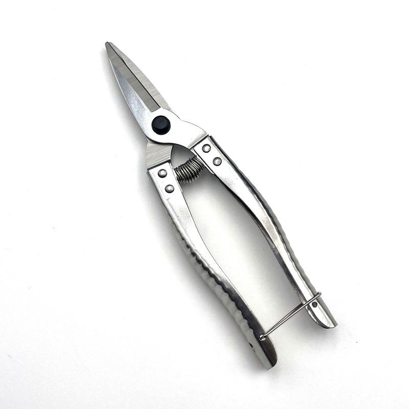 Hot-Selling Stainless Steel Grafting & Pruning Shears for Fruit Trees and Potted Plants