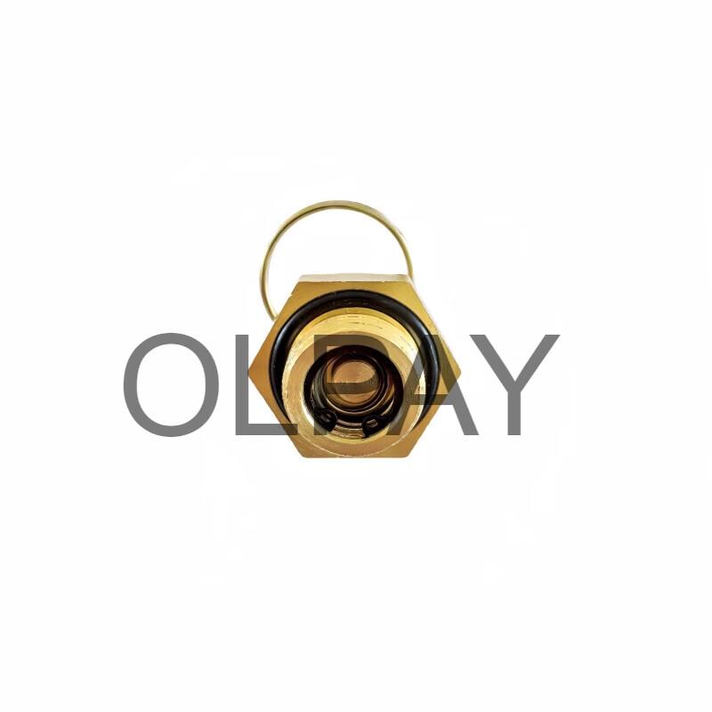 OLPAY Air Reservoir Drain Valve Assembly