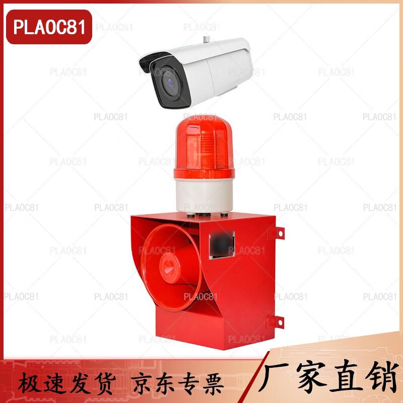 PLAOC81 Audible Visual Alarm