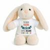 Planetee Plush Baby Rabbit Comforter My Mission Tai Chi With Grandma Birth Gift Newborn Girl Boy Baby Shower