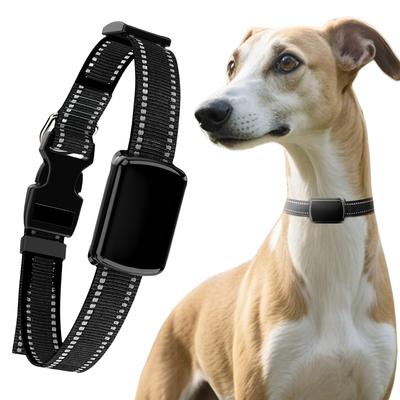 Traceur pour chien avec collier réglable Localisateur pour chat Localisateur intelligent pour animaux de compagnie pour chats et chiens