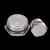 304 Stainless Steel G20 Threaded Plug