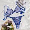 European & American Ultra-Thin Lace Embroidered Lingerie Set: Sexy Bra & Panties