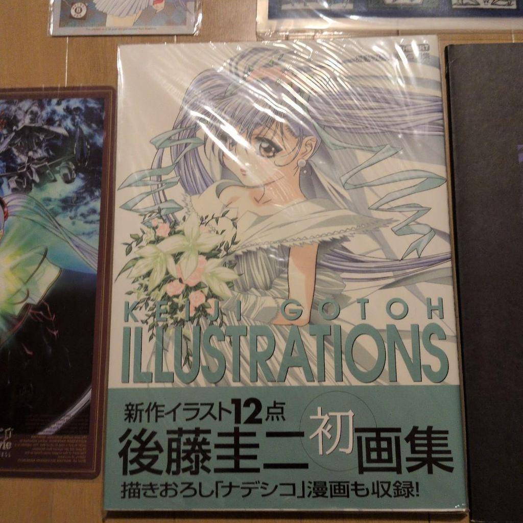 [USED] (Final price drop) 5-piece set of Martian Successor Nadesico, art book, etc.