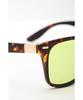 Coleman sunglasses CTL09-2