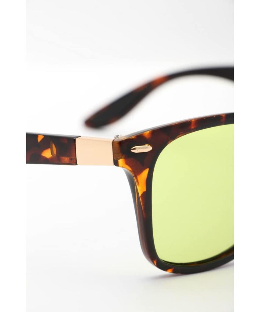 Coleman sunglasses CTL09-2