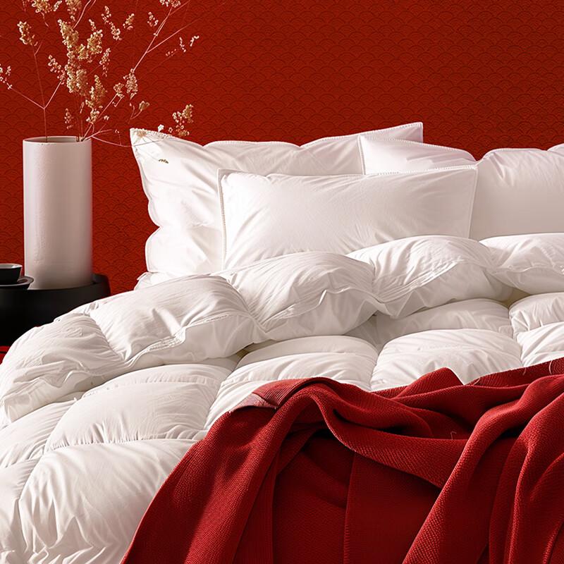 YierYar 95% Grey Duck Down Winter Comforter