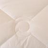 Yalu Winter Polyester Fiber Quilt