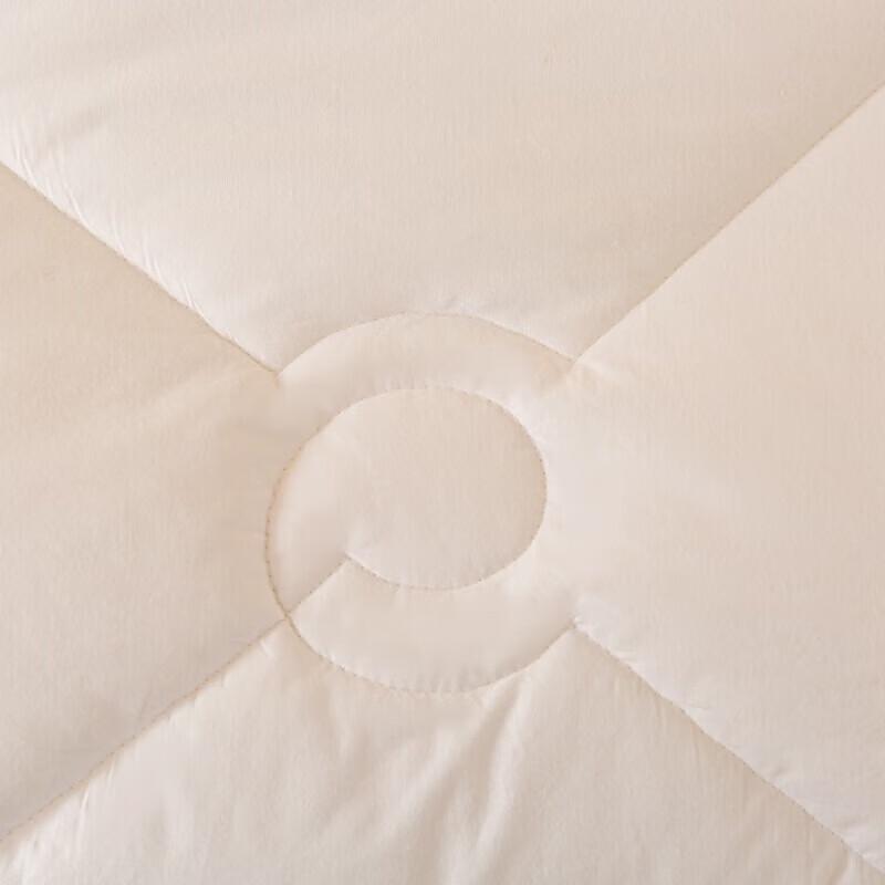 Yalu Winter Polyester Fiber Quilt