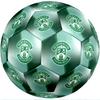 Hibernian FC 5 dydžio standartinis futbolo kamuolys, patvarus treniruočių ir varžybų kamuolys suaugusiųjų lauko sportui