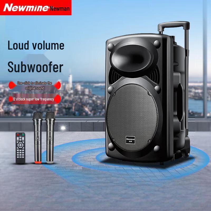 Newsmy B12 12-inch Portable Bluetooth Speaker