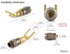 Nakamichi FanLock Excel 24k Gold Plated Spade Connector Banana Plug 10-18 AWG 4mm Hi-Fi Audio Speaker Amp 12pcs (6 Pairs)