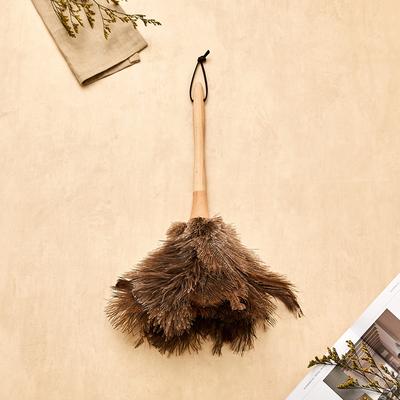 Beachwood Straußenfederstaubwedel S_CL1124004