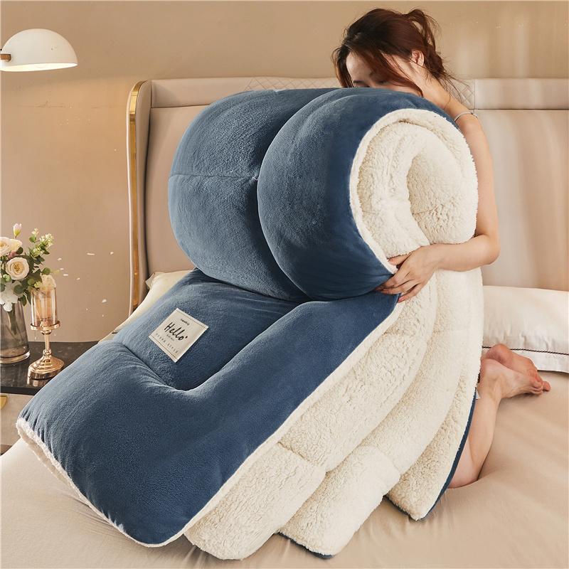 New Thick Milk Fleece Warm Blanket for Winter Artificial Lamb Cashmere Duvet Comforter Soft Warmth Weighted Blankets Quilt Core