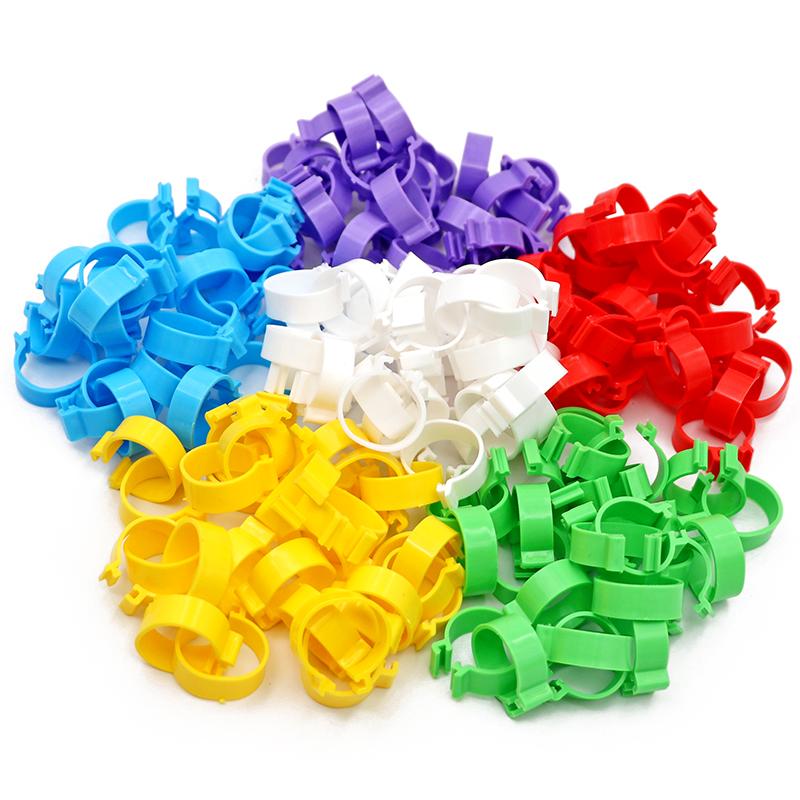 100 Pcs Chicken Foot Rings 6 Colors Poutry Duck Pigeon Geese Quail Bird Ring Carry tools Feeding Logo