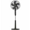 Black & Standing Fan; Decker