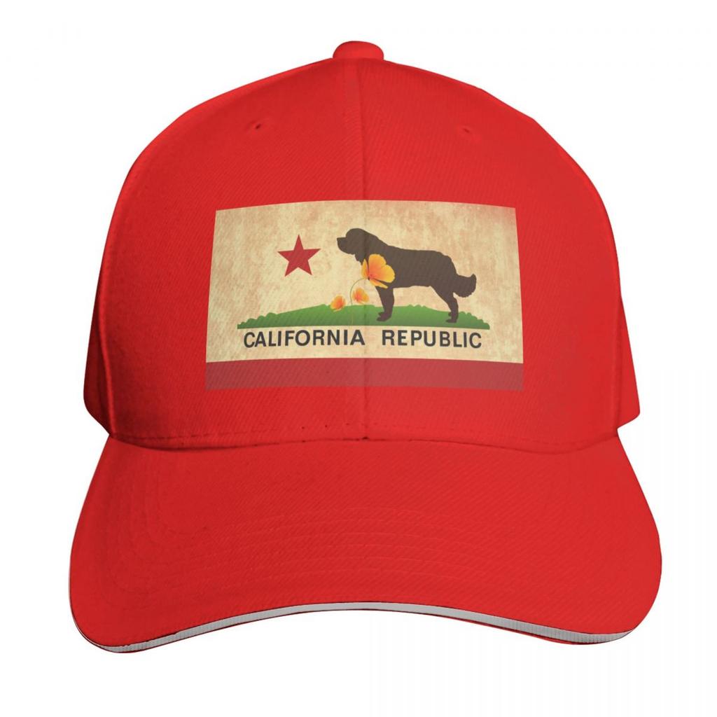 California Flag Face Mask Baseball Cap Golf sun hat hiking hat tactical cap Ladies Unisexs