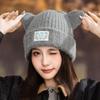 Fashion Warm Cat Ears Wool Hat Women's Autumn and Winter Thickened Windproof Pullover Hat Casual Ear Hat