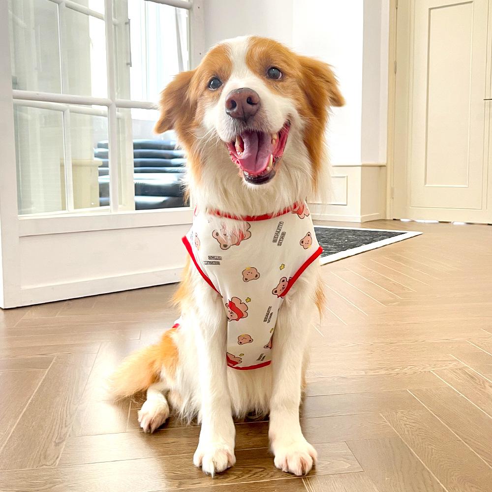 Haine pentru câini de vară Vestă din plasă pentru câini mici, mijlocii mari, haine pentru căței, chihuahua, buldog francez, golden retriever, border collie husky