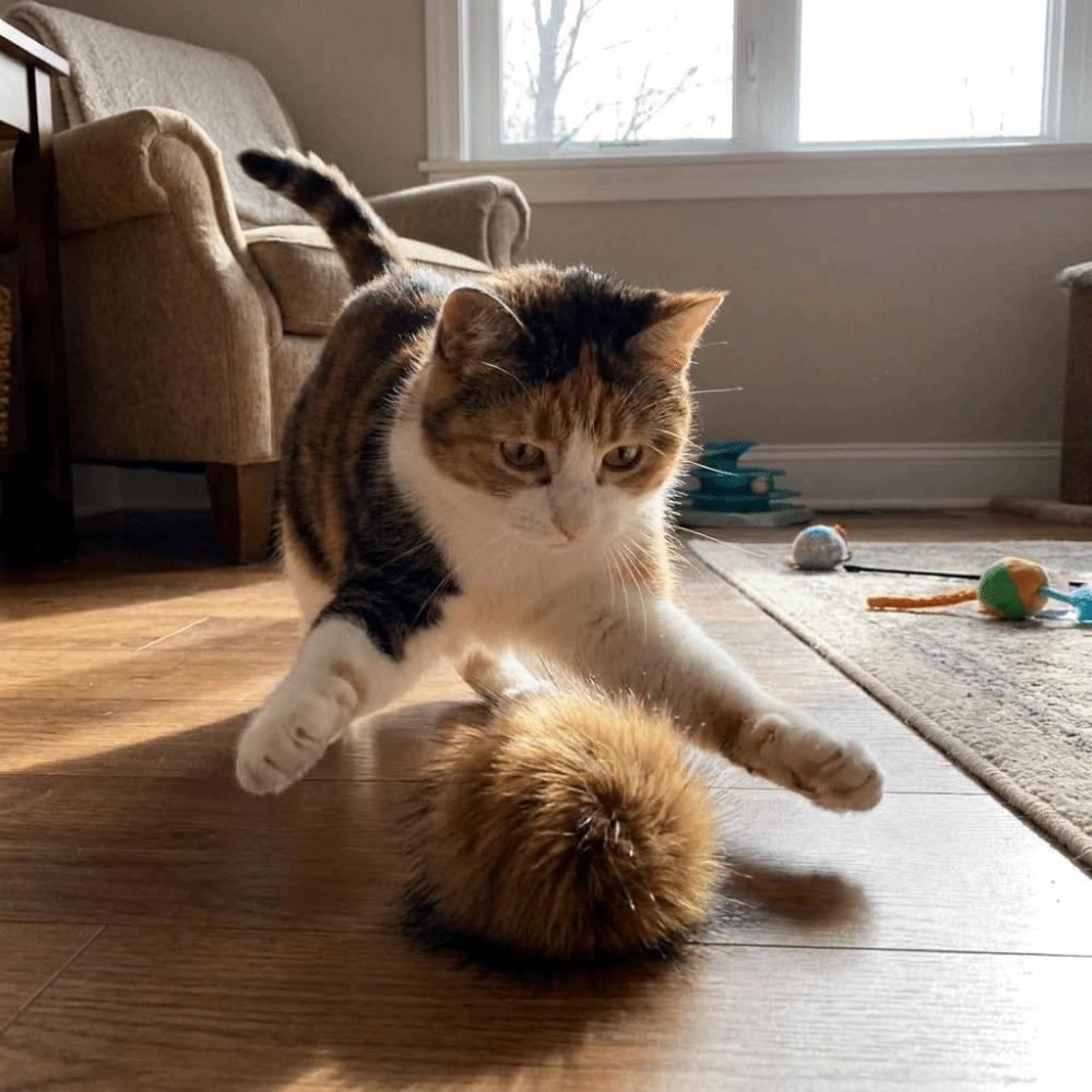 Rabbit Fur Fluffy Pet Toy Bite Resistant Kitten Chew Toys Funny Cat Teaser Ball Small Cat