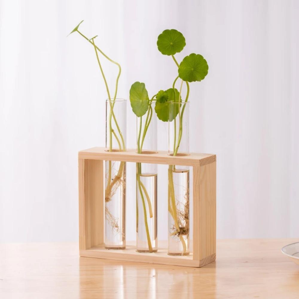 3/5 Tubes Wall Hanging Hydroponic Plant Propagation Glass Vase with Wooden Stand Desktop for Home Office Planter Garde Decor