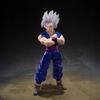 Dragon Ball Super Saiyan Beast Gohan  Event Exclusive Articulated Action Figure Super Hero Movie Boxed Collectible For Fans
