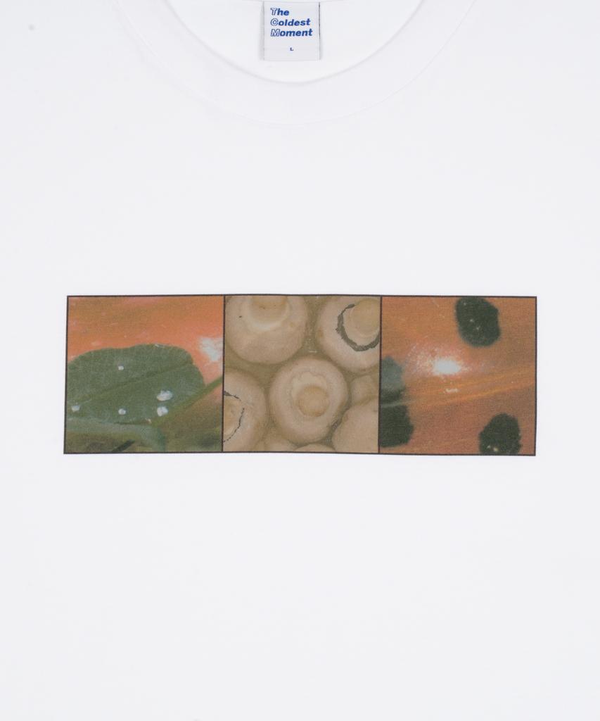 THE COLDEST MOMENT Tcm Nature T (White)