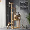 Jingzhou Multi-Level Cat Tree & Activity Center