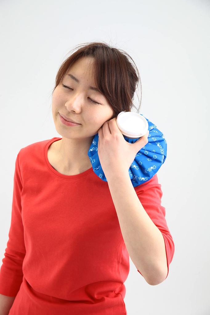 Fujisho Handy Ice Pack (Large)