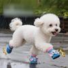 Bekleidung & Schuhe – Hundeschuhe