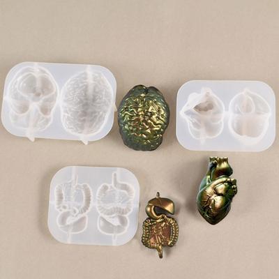 Human Organs Shape Silicone Molds Heart Brain Resin Epoxy Mold Cupcake