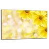 GLASS PROTECTIVE PLATE FOR STOVE 80X52 FLOWER