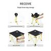Outdoor Portable Folding Picnic Set