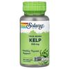 Solaray Echte Kräuter Meeresalgen 550mg Veggie-Kapseln, 100 Stück