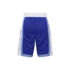 Nike Lakers Casual Basketball Shorts 2020-2021 Season Men Bottoms Blue CN1029-495