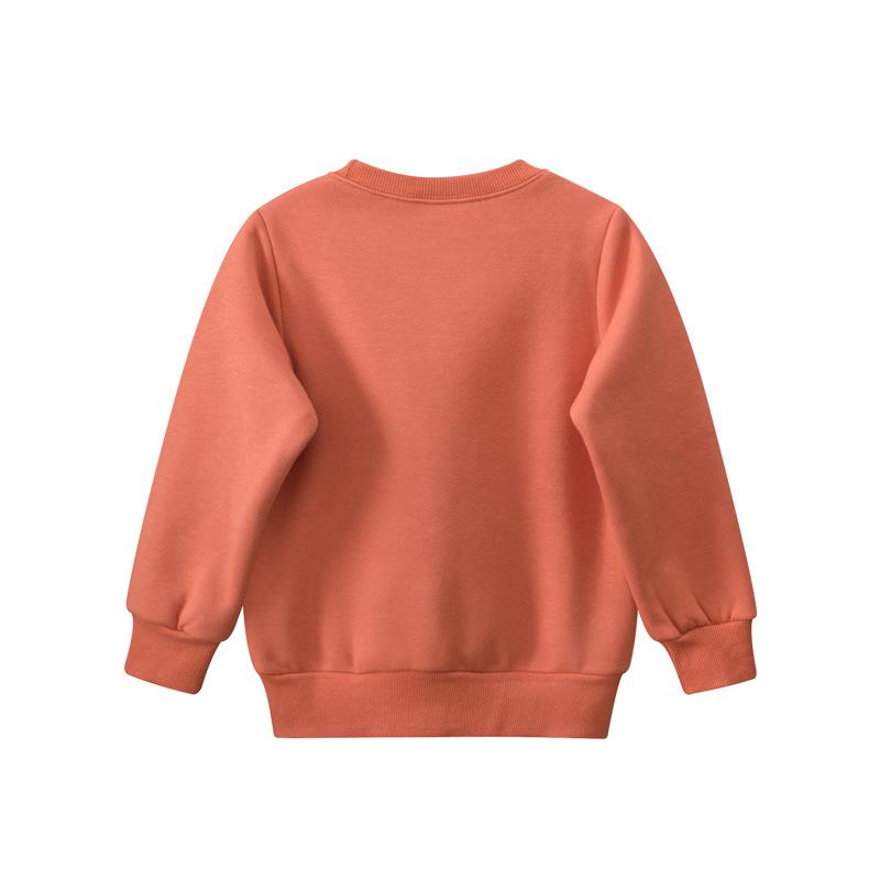 Baby and Toddler Boys' Fleece Sweatshirt Boys Cartoon Dinosaur No Cap Crew-Neck Sweatshirt Long Sleeve Pullover Shirt