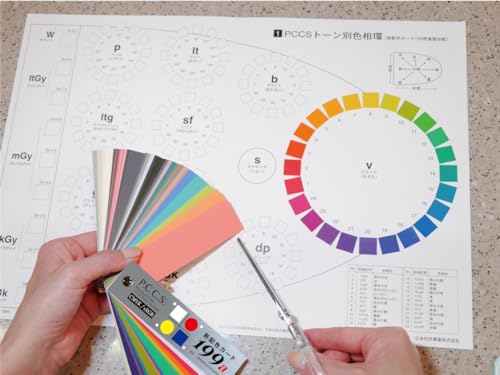 Nihonsikikenjigyo New Color Scheme Card 199b