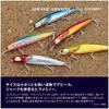 Shimano Surf Minnow Netsuna Flounder Minnow 120S Flash Boost 006 A Akakinglow XF-212X