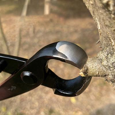 Praktischer Astschneider Hohe Härte Weit verbreitet Gartenarbeit Stylingwerkzeuge Langlebige Gartenschere