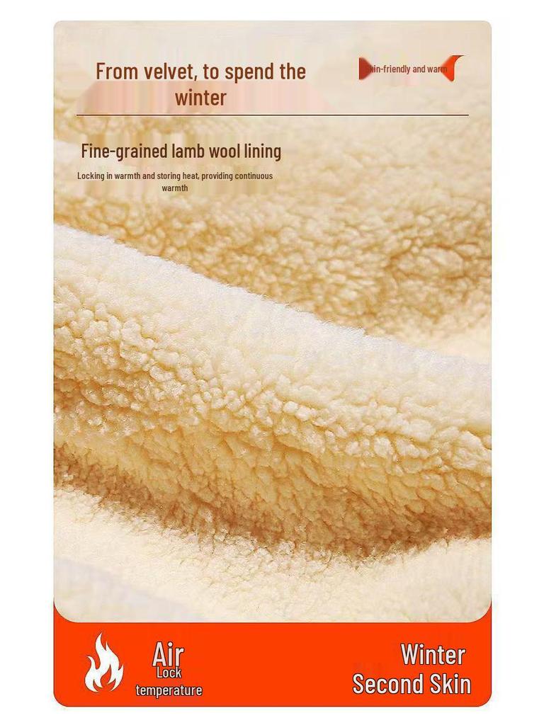 Men's 2024 Winter Thick Lambswool Hoodie - Round Neck, Solid Color, Long Sleeve, Velvet-Enhanced Warm Fleece.