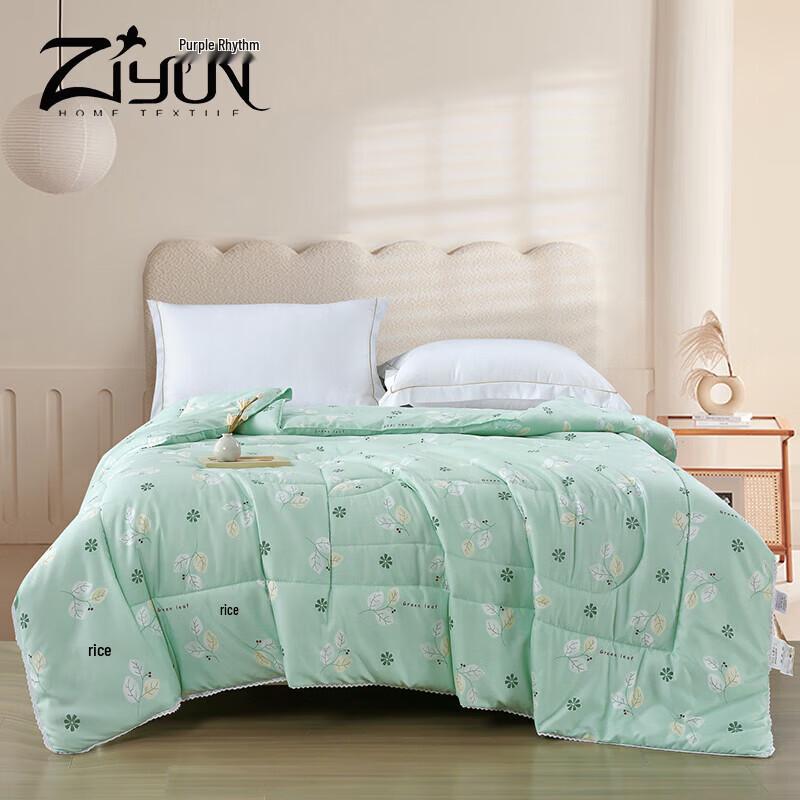 

Elegant Cloud Velvet Fiber Duvet