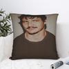 Pillow Cover Pedro Pascal  Funny Pillow Case For Wedding Party Home Decor Pillowcases