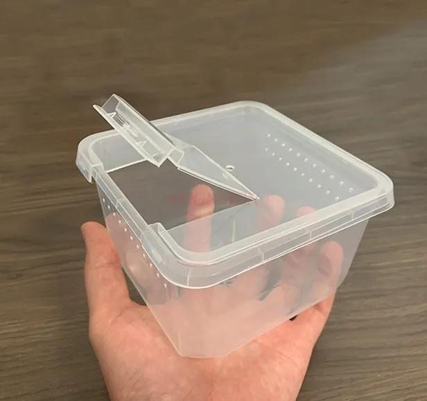 Small Insect Larva Feeding Box Spider Scorpion Hermit Crab Mini Feeding Box Packaging Box
