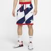 Nike Quick-Dry Flag Shorts Men Bottoms Blue White CK6312-492