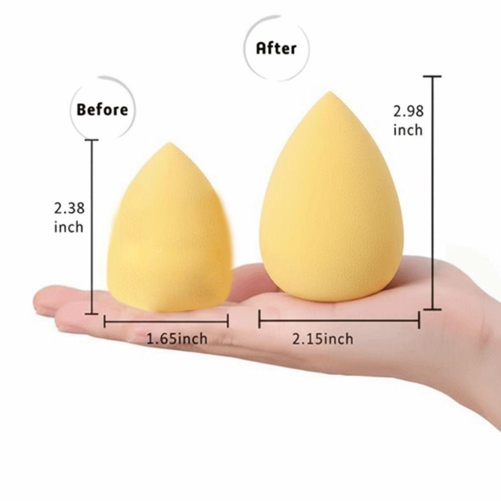 Latex-Free Foam Beauty Sponges with Egg Case Face Makeup Tools  for Foundation Application