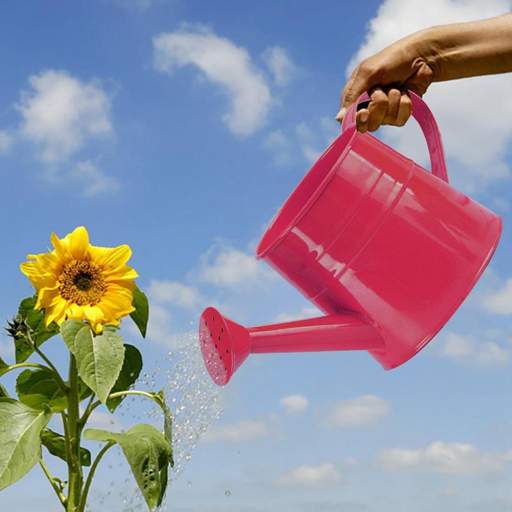 Watering Can Gardening Tools Accessories, Watering Can Plant Watering Can, Metal Garden Watering Can For Indoor & Outdoor Plant Garden